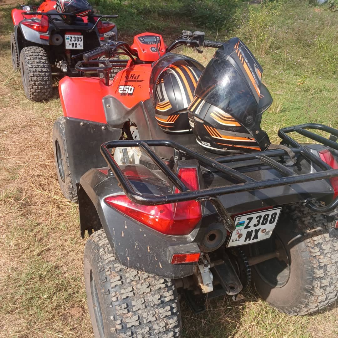 Maziku Tours & Safaris